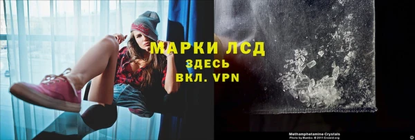 прущие грибы Алексин