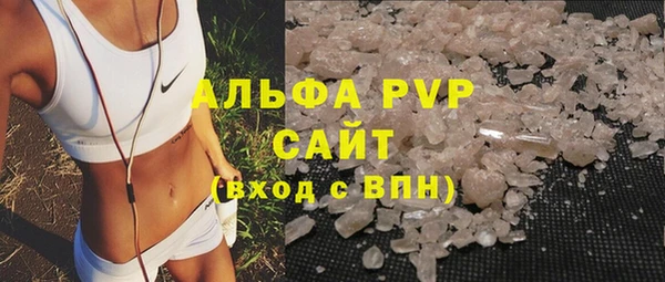 a pvp Алзамай