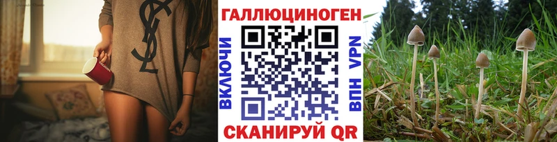 ссылка на мегу вход  Кочубеевское  Псилоцибиновые грибы MAGIC MUSHROOMS 